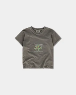 Cropped Women's Tee - TMNT - Black